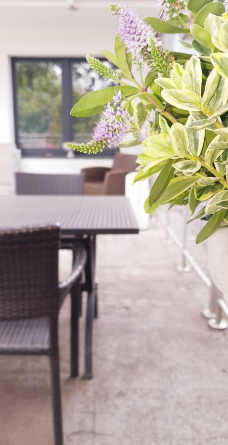 Moderne Zweizimmerwohnung 에센 외부 사진